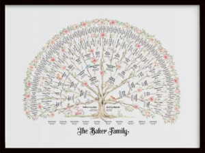 Spring+ - 6-gen - magical - framed