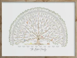 Summer+ - 6-gen - modern - framed