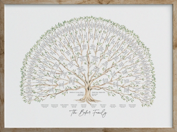 Olive Family Tree Large - MyGeneTree-saigonsouth.com.vn