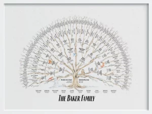 Winter+ - 6-gen - farmhouse - framed